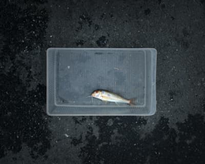 One