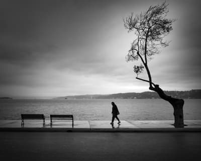 Into the Wind