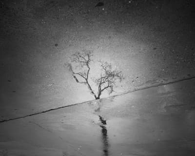 Upside Down