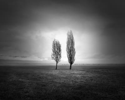 Not Alone