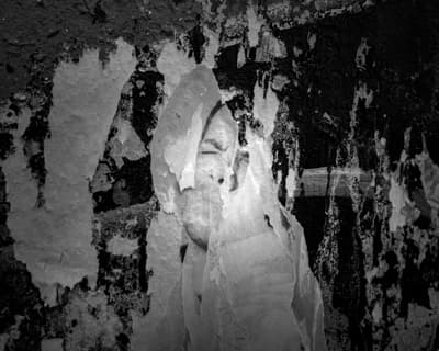 Coming Apart